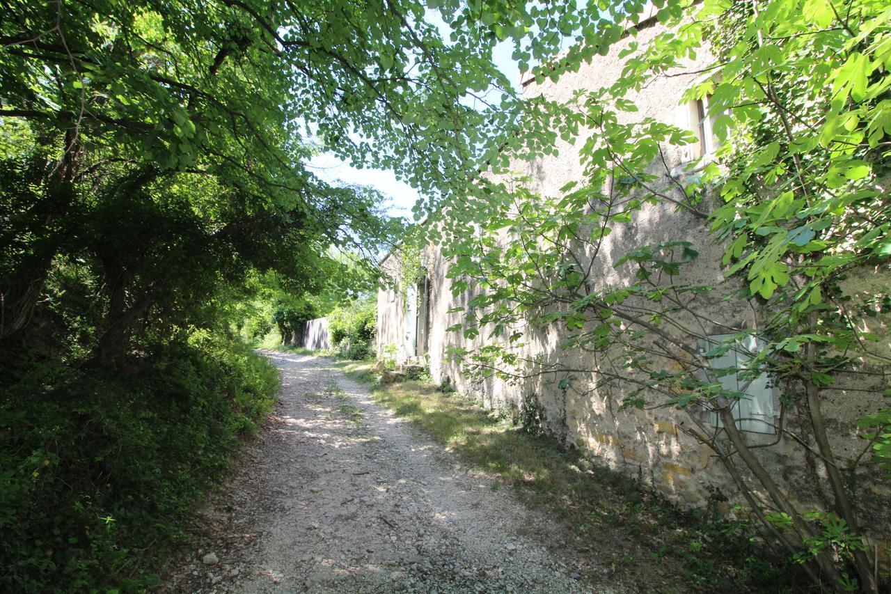 Chateau De Fontblachere Saint-Lager-Bressac Екстер'єр фото
